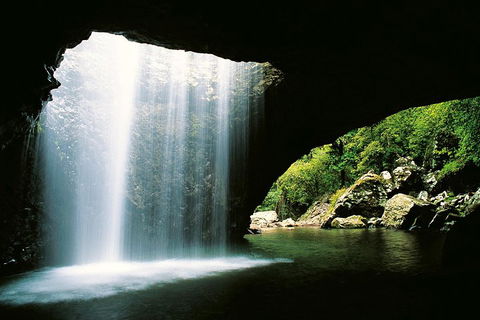 Natural Bridge & Springbrook Waterfalls Tour - Palm Beach Accommodation 0