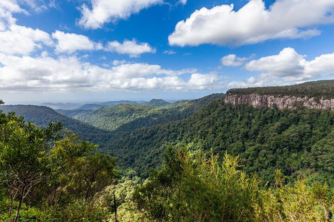 Natural Bridge & Springbrook Waterfalls Tour - Palm Beach Accommodation 1