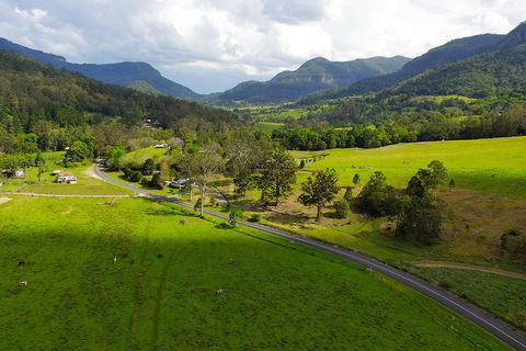 Natural Bridge & Springbrook Waterfalls Tour - Palm Beach Accommodation 2