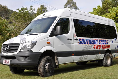 Natural Bridge & Springbrook Waterfalls Tour - Palm Beach Accommodation 3