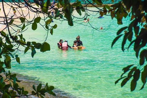 Green Island Day Trip From Cairns - Palm Beach Accommodation 2