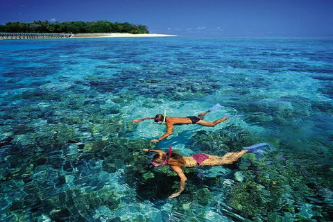 Green Island Day Trip From Cairns - Palm Beach Accommodation 5