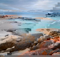 Wineglass Bay Private Charter Service - Palm Beach Accommodation