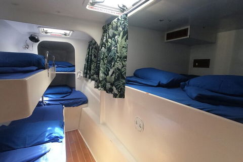 Sail, Snorkel, SUP & Kayak Charter Whitsundays - Palm Beach Accommodation 4