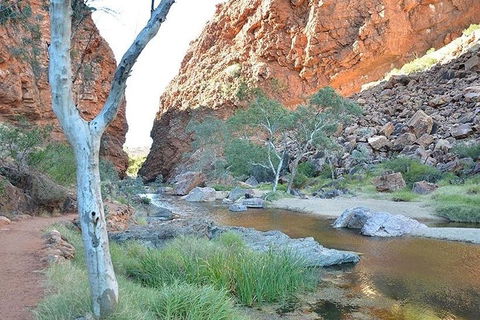 Alice Springs, Uluru Ayers Rock & Kings Canyon 8 Days Touring Package - Palm Beach Accommodation 2