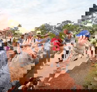 Uluru Kata Tjuta and Kings Canyon Camping Safari from Ayers Rock - Palm Beach Accommodation