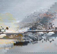 3.5 Hours Walking Tour to Cataract Gorge with Local Guide - Palm Beach Accommodation