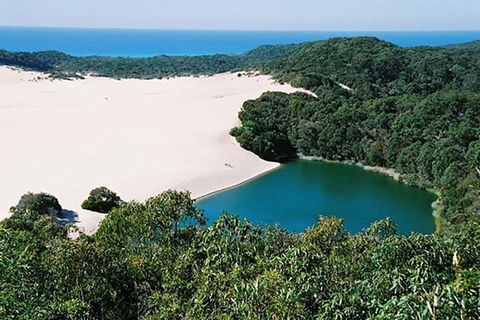 Full-Day Moreton Island 4x4 Sightseeing Tour - Palm Beach Accommodation 5