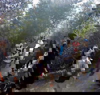 Active Day Tour One-Way from Launceston to Hobart via Wineglass Bay - Palm Beach Accommodation