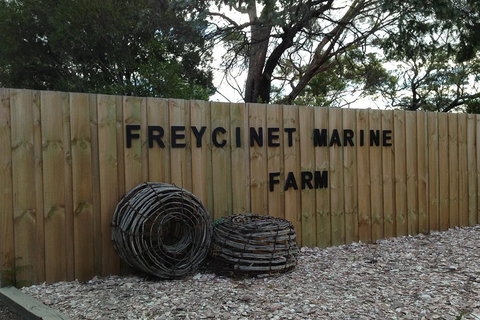 Active Day Tour One-Way From Launceston To Hobart Via Wineglass Bay - Palm Beach Accommodation 3