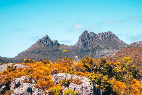 Cradle Mountain National Park Day Tour From Launceston - Palm Beach Accommodation 1