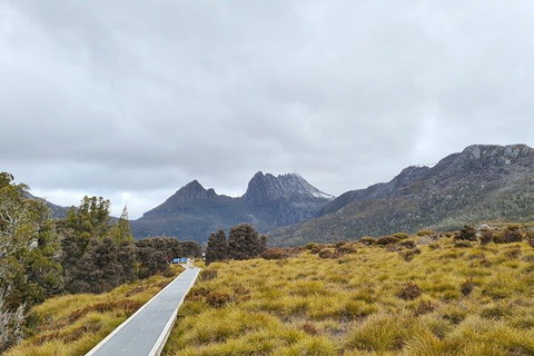 Cradle Mountain National Park Day Tour From Launceston - Palm Beach Accommodation 2
