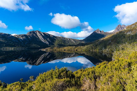 Cradle Mountain National Park Day Tour From Launceston - Palm Beach Accommodation 3