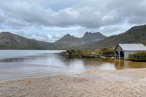 Cradle Mountain National Park Day Tour From Launceston - Palm Beach Accommodation 4