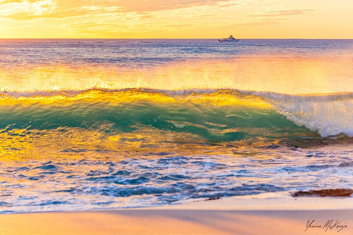 Palm Beach Accommodation