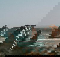 Half-Day or Full-Day Tour with Private Guide from Melbourne - Palm Beach Accommodation