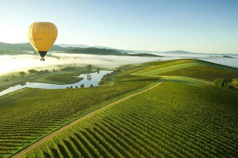 Half-Day Or Full-Day Tour With Private Guide From Melbourne - Palm Beach Accommodation 4