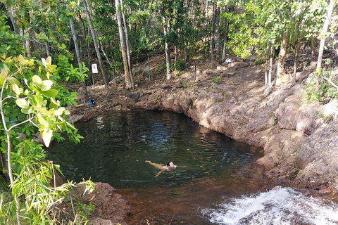 One Day Litchfield Park Adventures - Palm Beach Accommodation 2