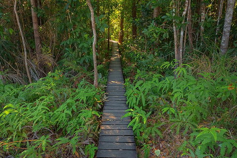 One Day Litchfield Park Adventures - Palm Beach Accommodation 4