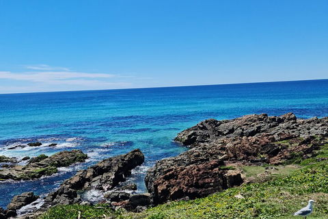 Private Custom Byron Bay Day Out - Palm Beach Accommodation 4