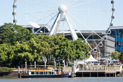 90min Brisbane River Cruise/Tour - Palm Beach Accommodation 2