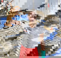 Pinnacles Desert Koalas and Sandboarding 4WD Day Tour from Perth - Palm Beach Accommodation