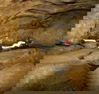 2-Day Wave Rock York Wildflowers  Aboriginal Experience - Palm Beach Accommodation