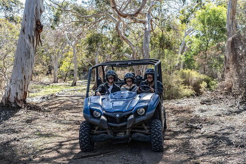 Small-Group Buggy Tour At Little Sahara With Guide - Palm Beach Accommodation 0