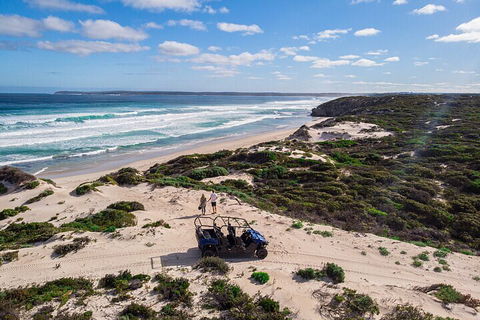 Small-Group Buggy Tour At Little Sahara With Guide - Palm Beach Accommodation 1
