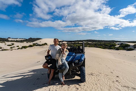 Small-Group Buggy Tour At Little Sahara With Guide - Palm Beach Accommodation 2