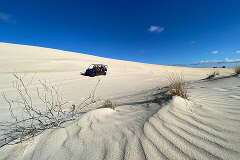 Small-Group Buggy Tour At Little Sahara With Guide - Palm Beach Accommodation 3
