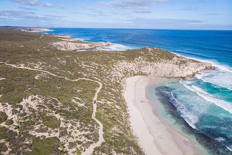 Small-Group Buggy Tour At Little Sahara With Guide - Palm Beach Accommodation 4