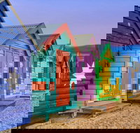 Phillip Island Penguin Brighton Beach Moonlit Sanctuary from Melbourne - Palm Beach Accommodation