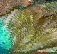 Fly The Falls Tour - Palm Beach Accommodation