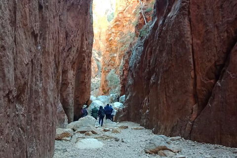 West MacDonnell Private Tour With Transfer - Palm Beach Accommodation 0