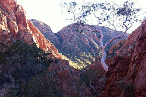 West MacDonnell Private Tour With Transfer - Palm Beach Accommodation 3