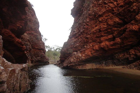 West MacDonnell Ranges Half - Day Tour - Palm Beach Accommodation 4
