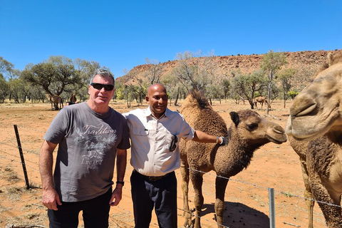 West MacDonnell Ranges Half-Day Small-Group Tour With Camel Ride - Palm Beach Accommodation 1
