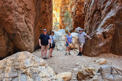 West MacDonnell Ranges Half-Day Small-Group Tour With Camel Ride - Palm Beach Accommodation 4