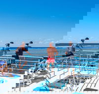 Calypso Outer Great Barrier Reef Cruise from Port Douglas - Palm Beach Accommodation