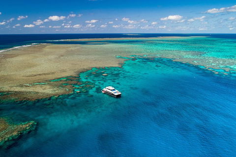 Calypso Outer Great Barrier Reef Cruise From Port Douglas - Palm Beach Accommodation 1