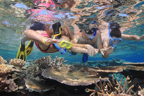 Calypso Outer Great Barrier Reef Cruise From Port Douglas - Palm Beach Accommodation 3