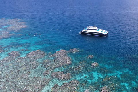 Calypso Outer Great Barrier Reef Cruise From Port Douglas - Palm Beach Accommodation 4