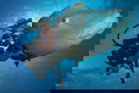 Book Viator Accommodation Vacations Palm Beach Accommodation Palm Beach Accommodation