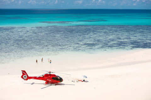 Private Helicopter Tour: Reef Island Snorkeling And Gourmet Picnic Lunch - Palm Beach Accommodation 2