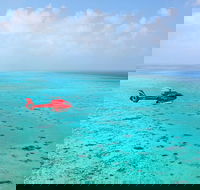 Port Douglas Scenic Flights - Palm Beach Accommodation