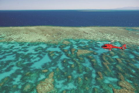 Ultimate Great Barrier Reef And Rainforest 45-minute Helicopter Tour - Palm Beach Accommodation 1