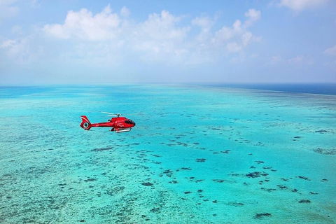 Ultimate Great Barrier Reef And Rainforest 45-minute Helicopter Tour - Palm Beach Accommodation 2