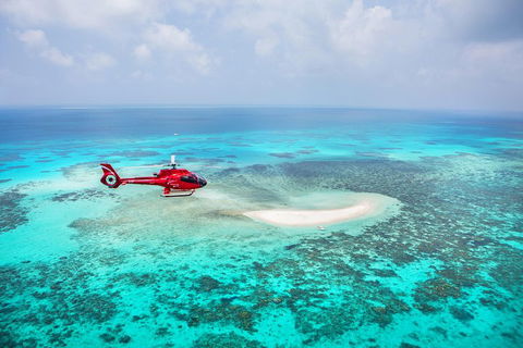Ultimate Great Barrier Reef And Rainforest 45-minute Helicopter Tour - Palm Beach Accommodation 3