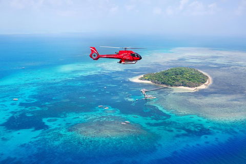 Ultimate Great Barrier Reef And Rainforest 45-minute Helicopter Tour - Palm Beach Accommodation 4